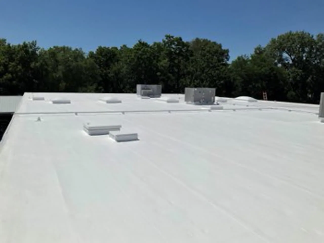 TPO Roofing